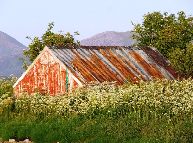Old Barn Lighted by Midnight Sun.JPG
